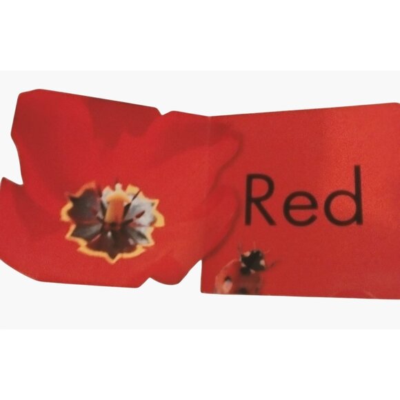 DK Flaptastic Colors Lift The Flap Board Book - Picture 2 of 8